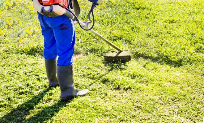 Service d'entretien d'espace vert, Golfe de Saint-Tropez, KSJ-BRILLE-CLEAN